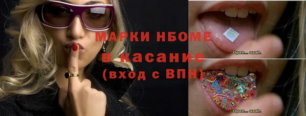 прущие грибы Слюдянка