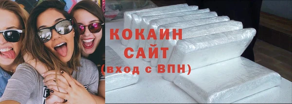 прущие грибы Слюдянка
