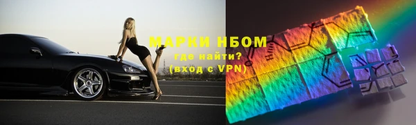 прущие грибы Слюдянка