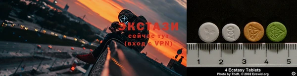 прущие грибы Слюдянка