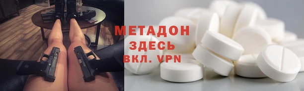 прущие грибы Слюдянка
