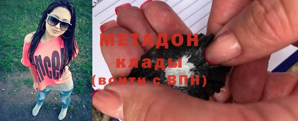 прущие грибы Слюдянка