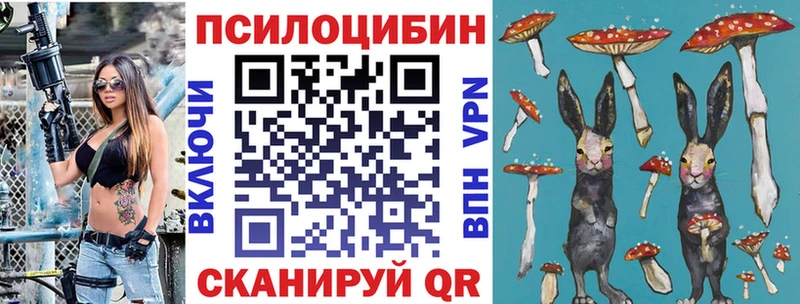 MEGA онион купить закладку Бийск Псилоцибиновые грибы прущие грибы