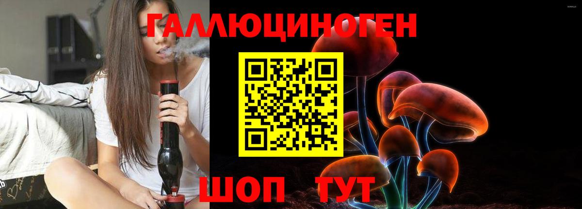 Псилоцибиновые грибы мицелий  Вход с VPN  Бийск 