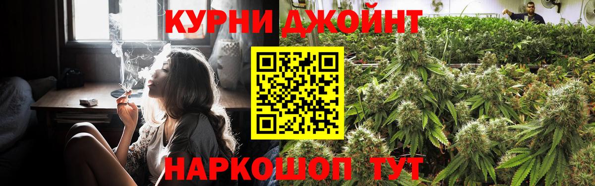 Каннабис план Бийск